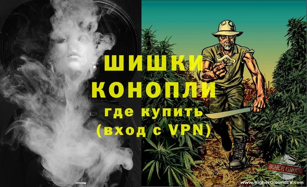 эйфоретик Арсеньев