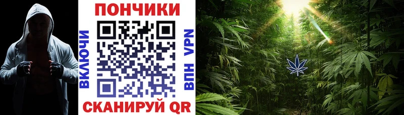 Шишки марихуана индика цена Любань